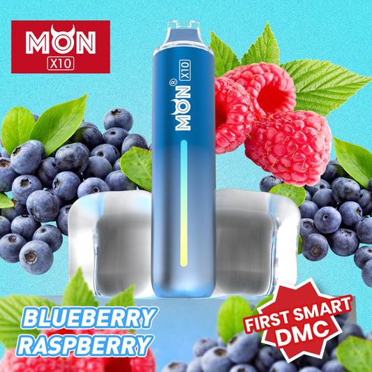X10 - 10000 Puffs | Blueberry Raspberry